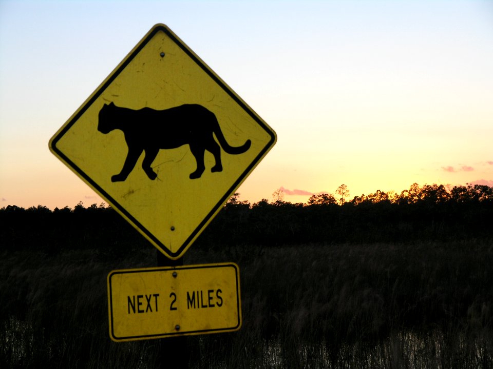 Panther Crossing, NPSPhoto, S.Zenner.jpg photo