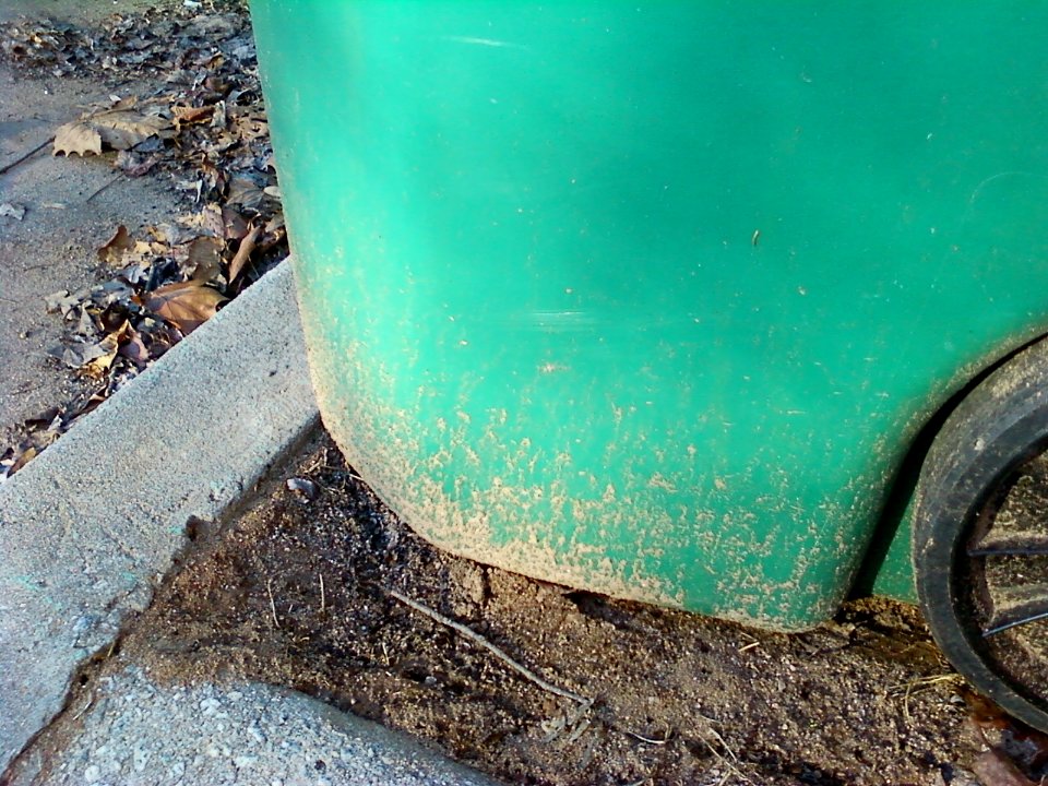 Bin