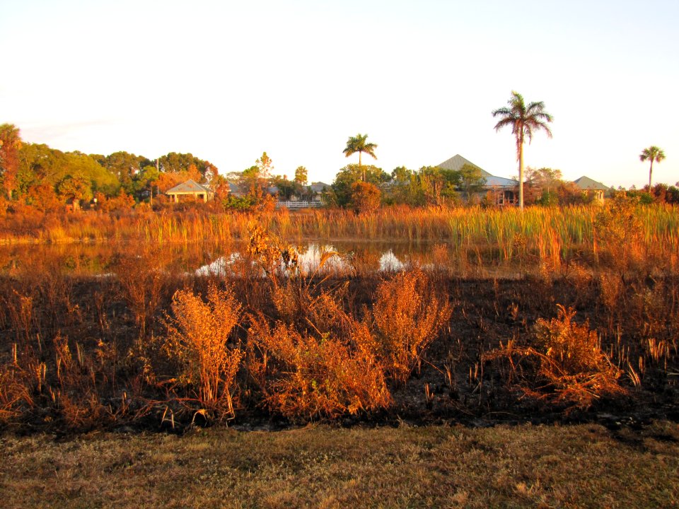 Prescribed fire near park structures (20), NPSphoto