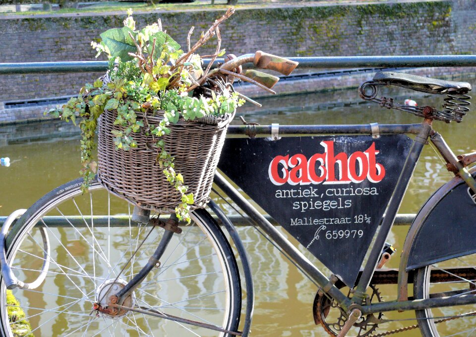 The hague holland sales