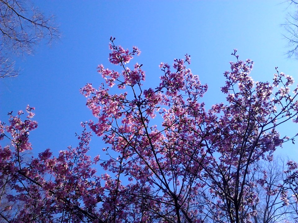IMG 20140226 142247