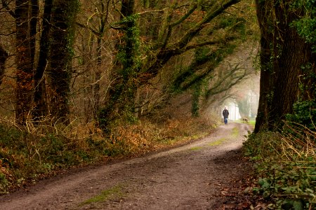 Niederrhein: Samans Hof photo