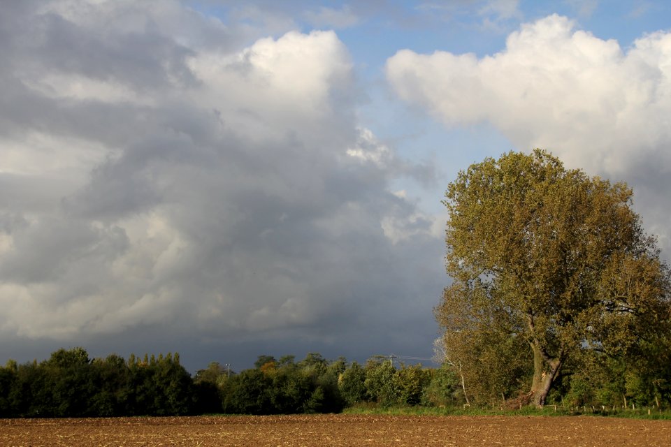 Landschaft am Niederrhein