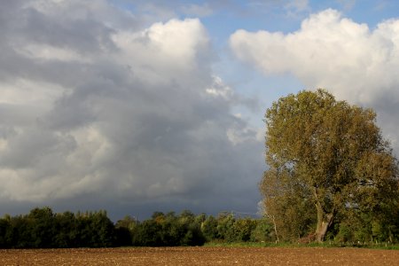 Landschaft am Niederrhein photo