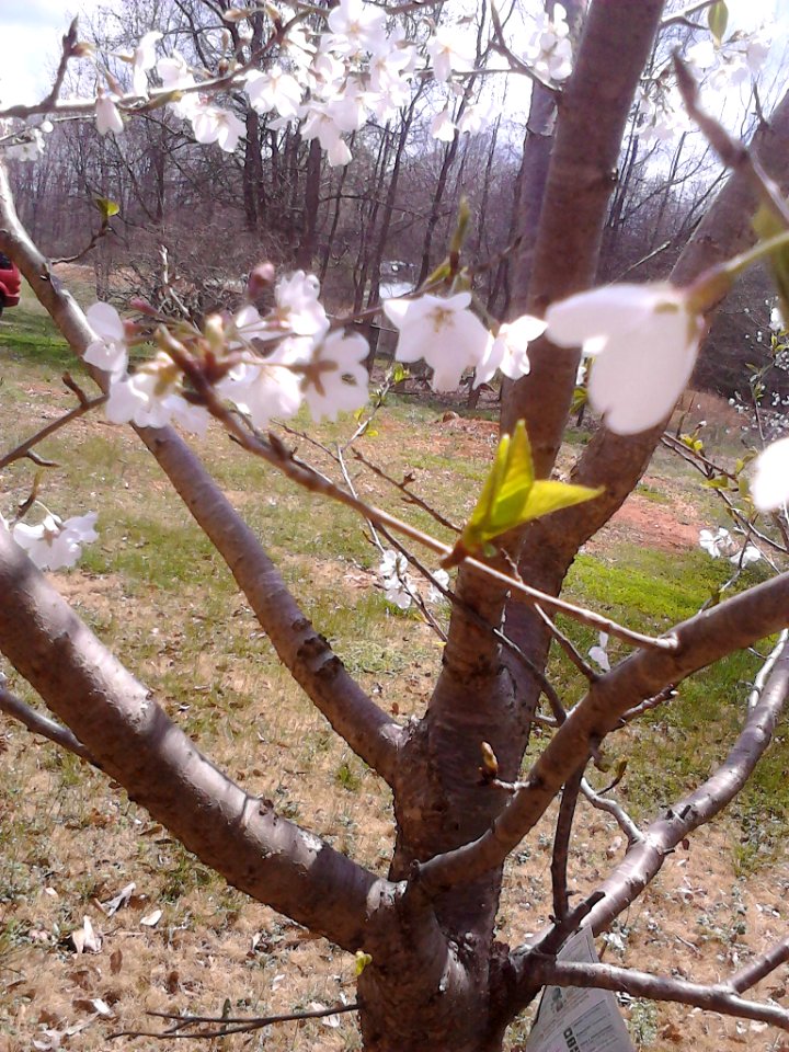 IMG 20150323 125824