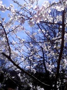 IMG 20150324 125306