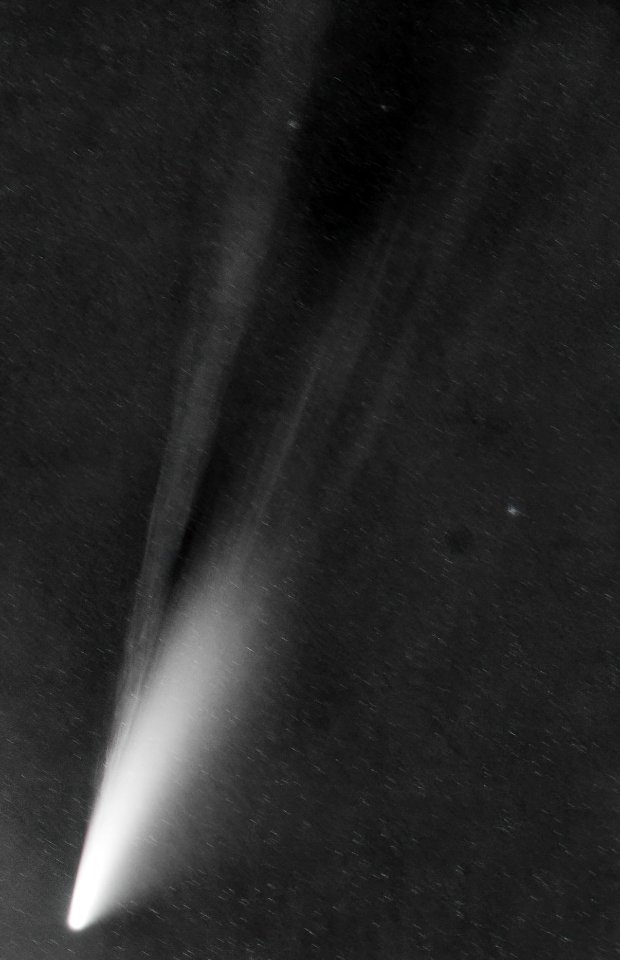 Komet C/2020 F3 (Neowise)