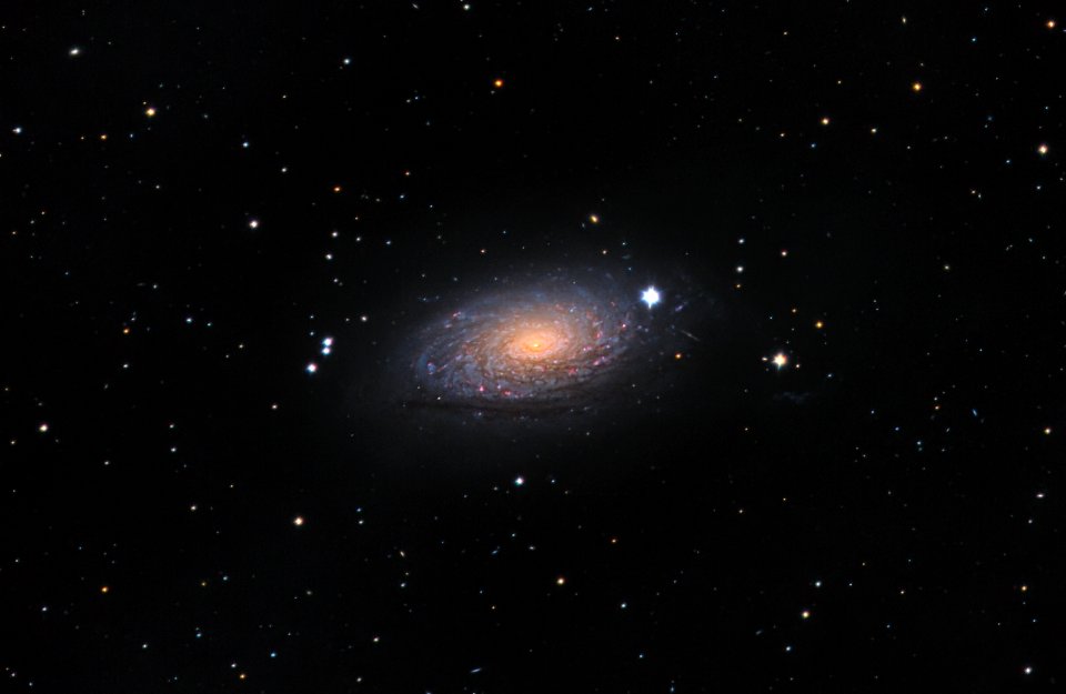 Sunflower Galaxy M 63 (HaLRGB)