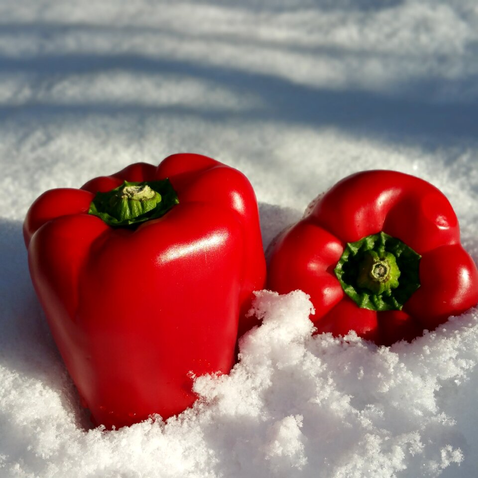 Red vegetables winter