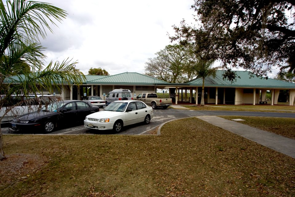 Royal Palm (2), NPSPhoto, R. Cammauf