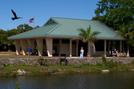 Royal Palm (1), NPSPhoto, R. Cammauf