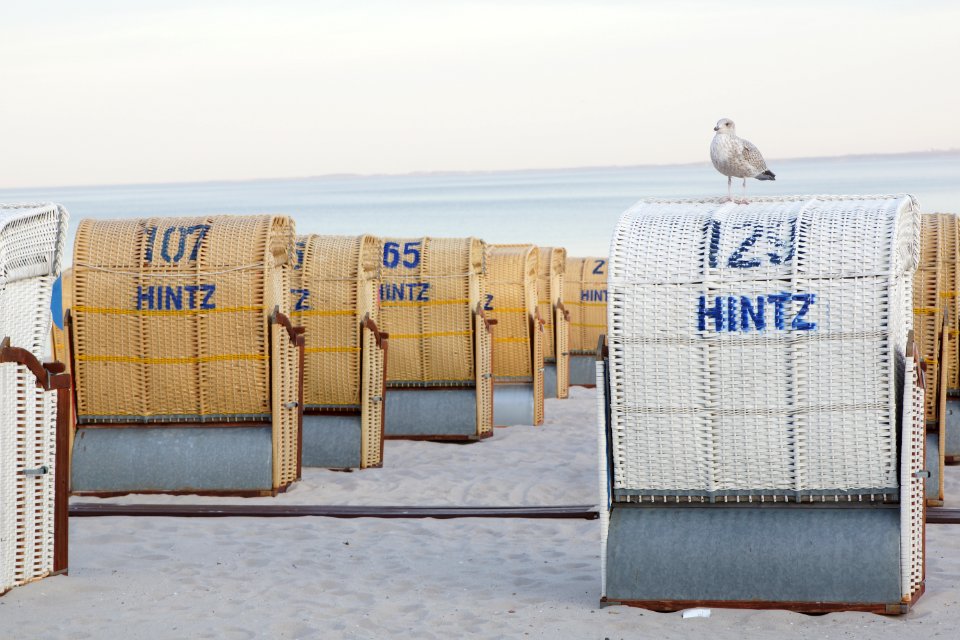 Möve auf einen weißen Strandkorg