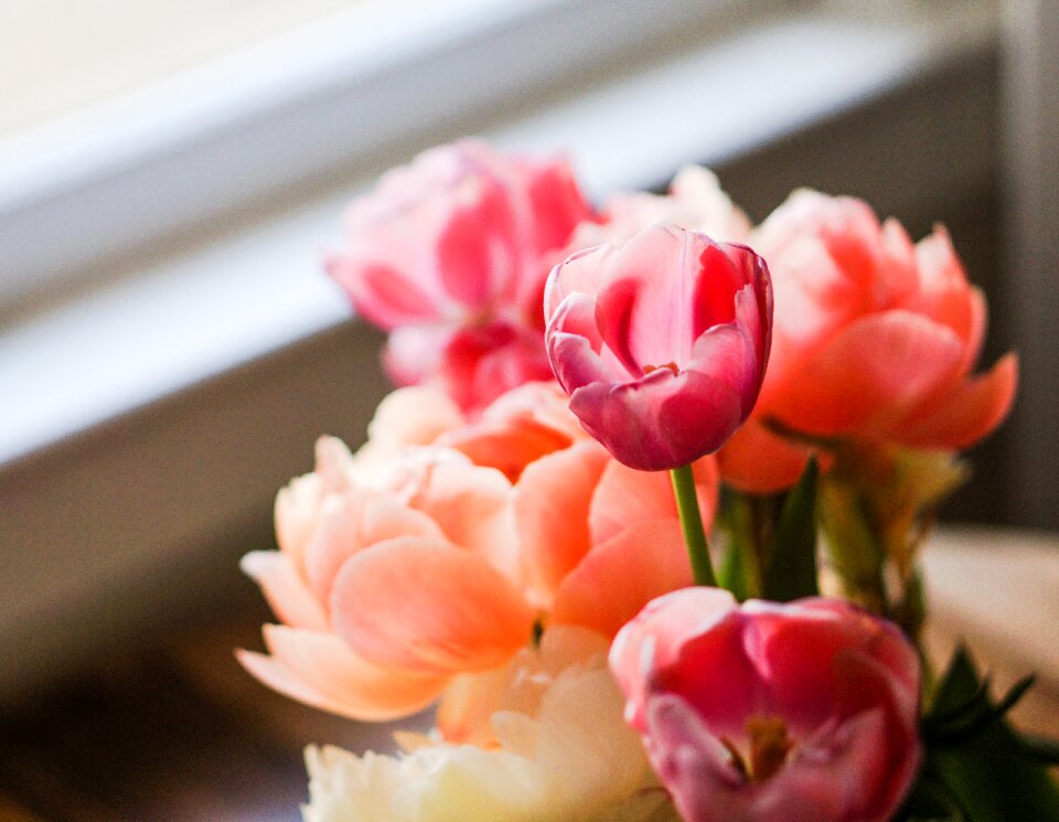 Floral spring pink