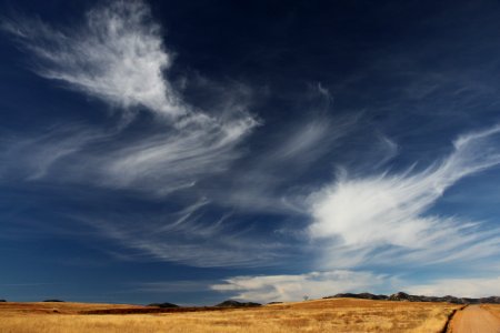 SAN RAFAEL VALLEY GRASSLANDS, SE of Patagonia, scc, az (12-5-10) -03 photo