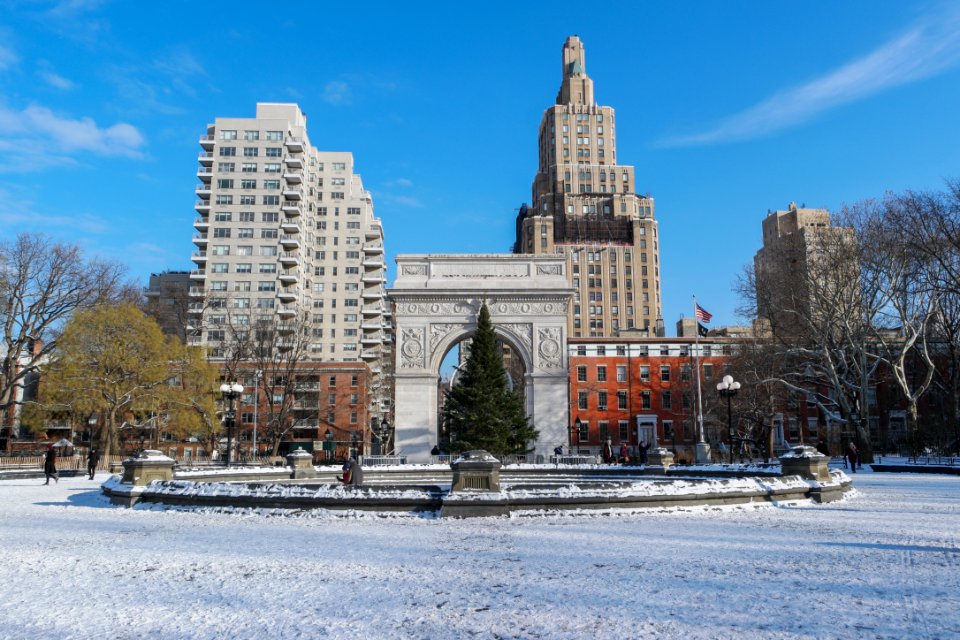 Washington Square Park in the Sun