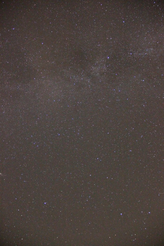 Milchstraße im Grenzbereich Schwan/Cepheus