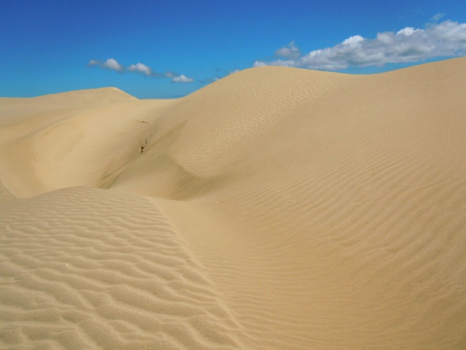 Nature dune summer