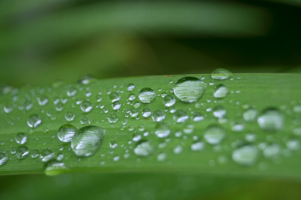 Drop of water green rain