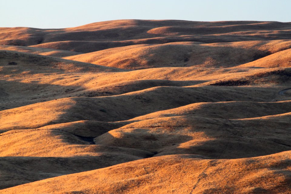SOUTH SODA LAKE ROAD GRASSLANDS -040E
