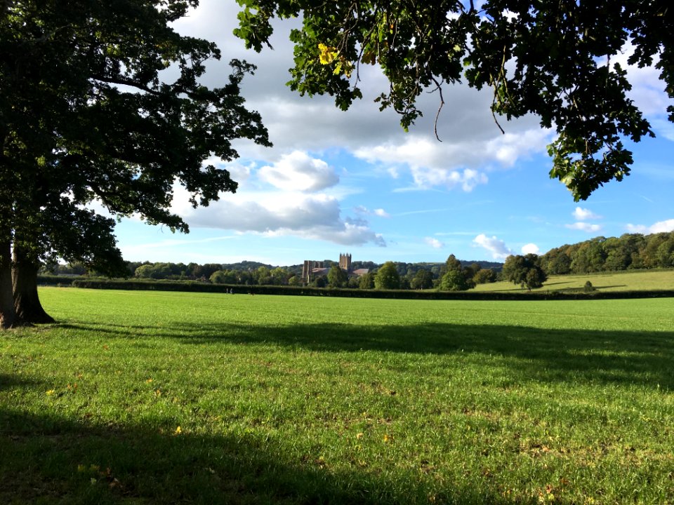 View of Wells Cathedral