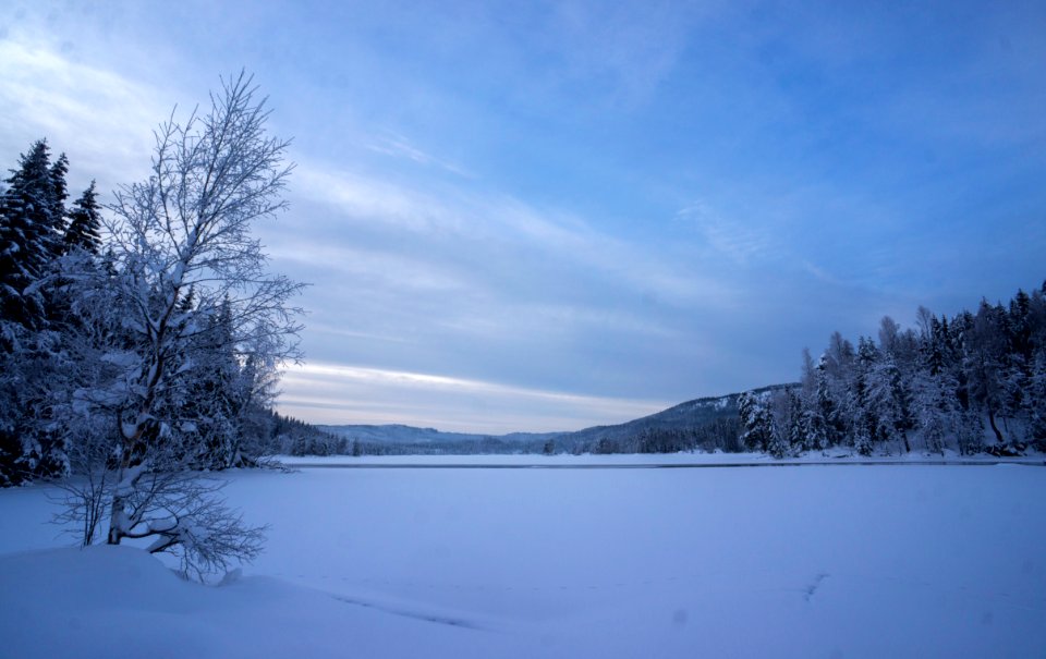 Bjørnsjøen, ved Fortjern, mot Kikut
