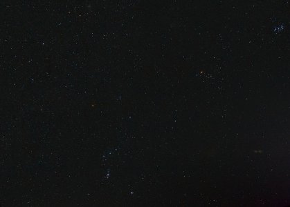 Orion + Stier