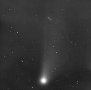 Comet C/2020 F3 (Neowise) + Koi fish galaxy NGC 4559