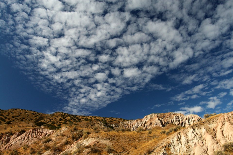 Padrone Springs- 010g