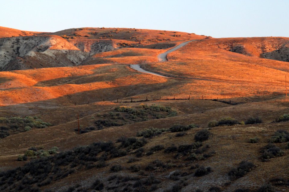 SOUTH SODA LAKE ROAD GRASSLANDS -040A