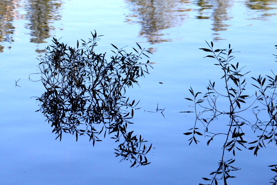 MT LASSEN AREA - 325 - Manzanita Lake -02
