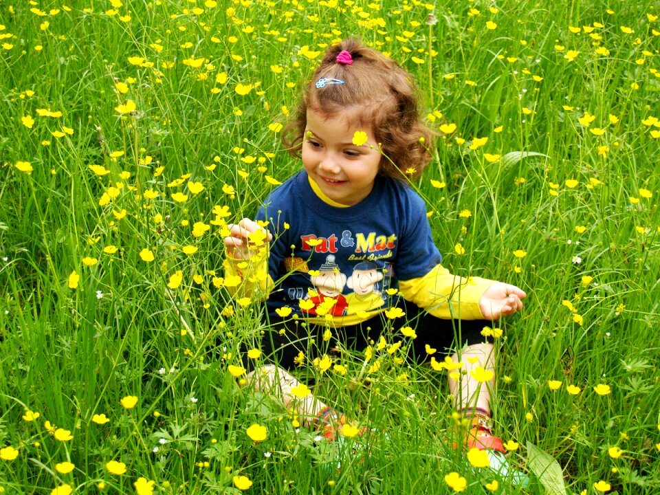 Blossoming meadow pleasure yellow