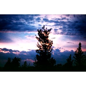 | I am happy. But I want to share it with someone |
