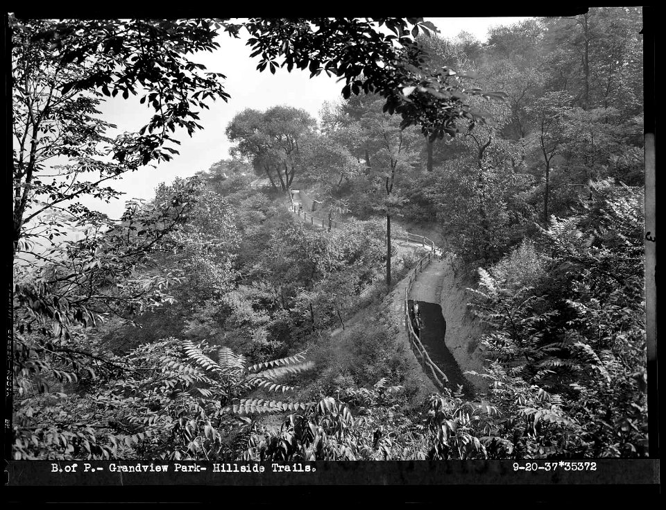 Hillside-trails-at-Grandview-Park-1937