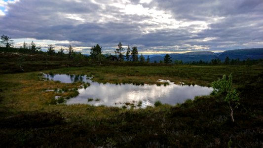 Lilldalsstugan, Näsfjället, Dalarna, Sweden photo