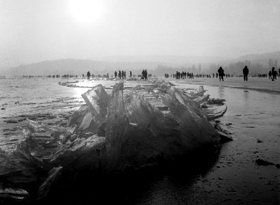 Frozen Balaton photo
