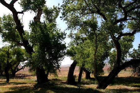 Saucito Ranch - 019