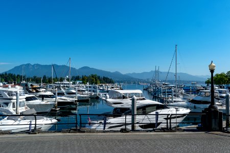 Bayshore West Marina, Vancouver photo