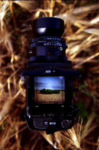 Mamiya on the field