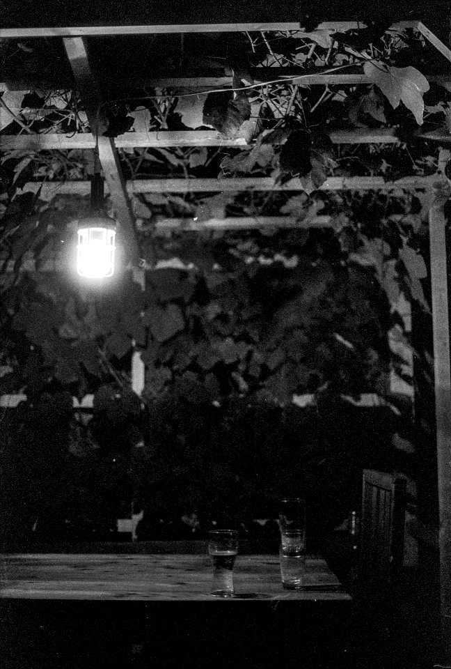 rural summer night feeling
