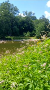 Komoka provincial park