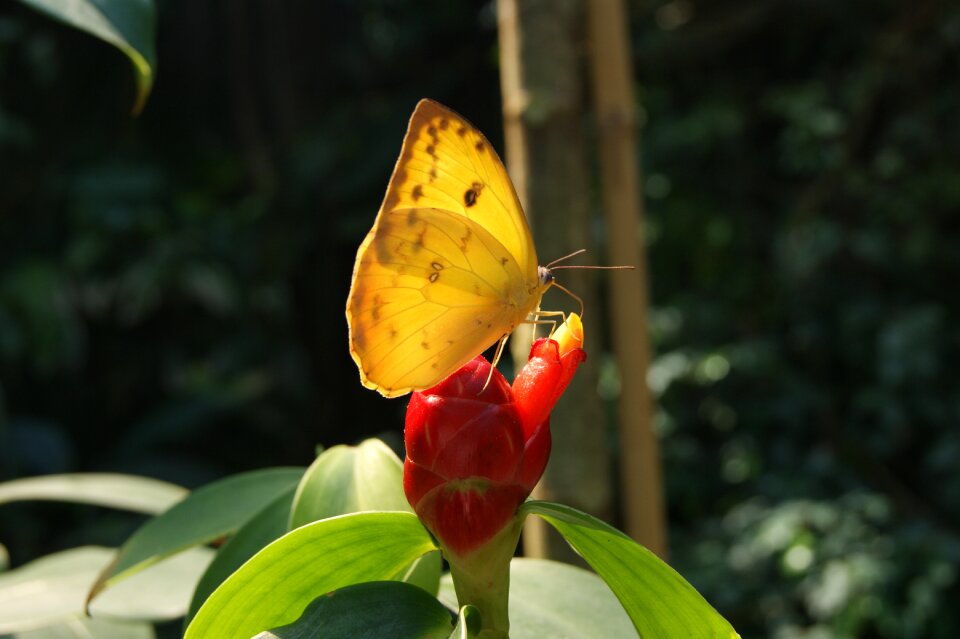 Nature spring summer