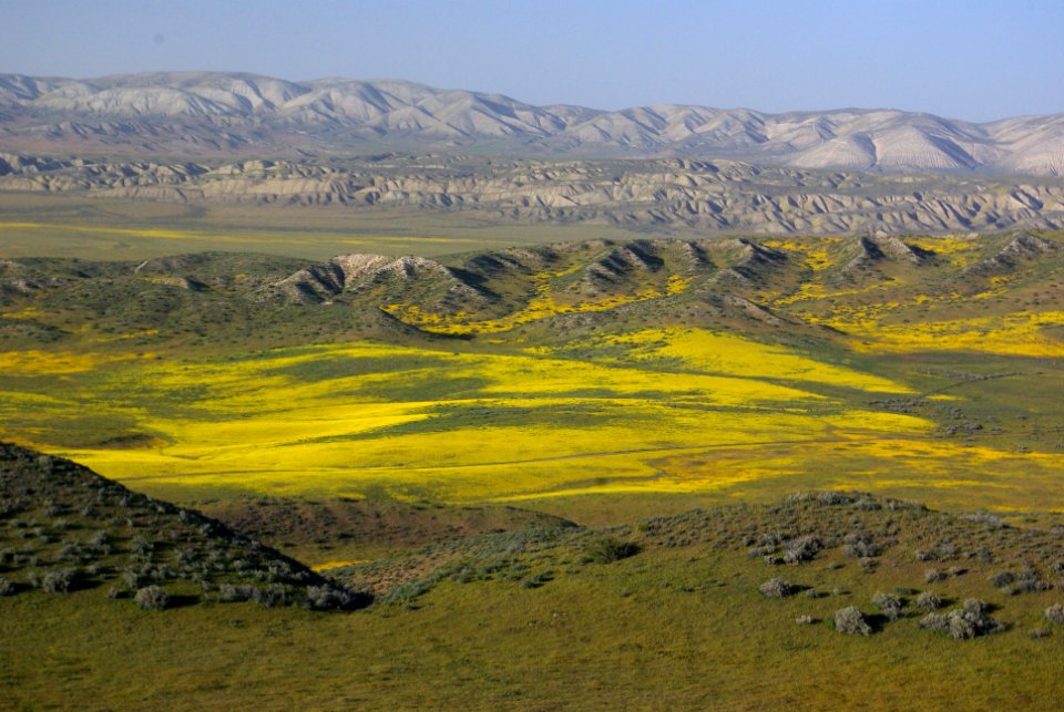 LAWSON SPRINGS AREA -210