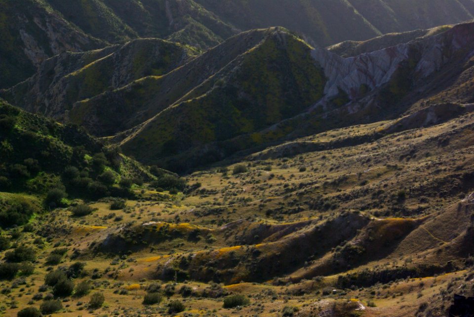LAWSON SPRINGS AREA -207