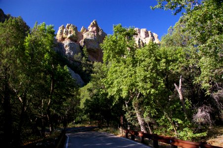 CAVE CREEK CANYON, SUNNY FLATS CG (6-09) -04
