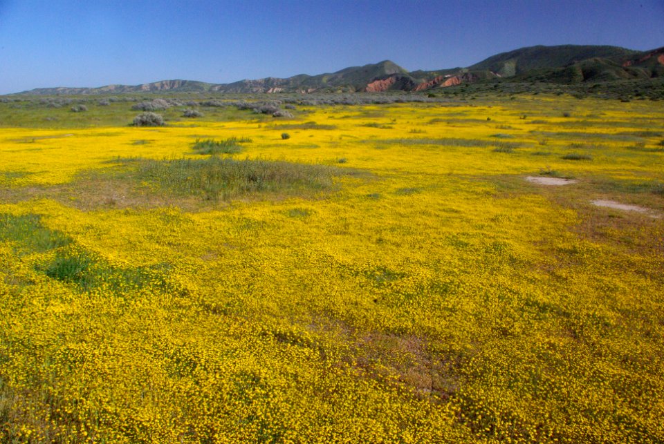 LAWSON SPRINGS AREA -201