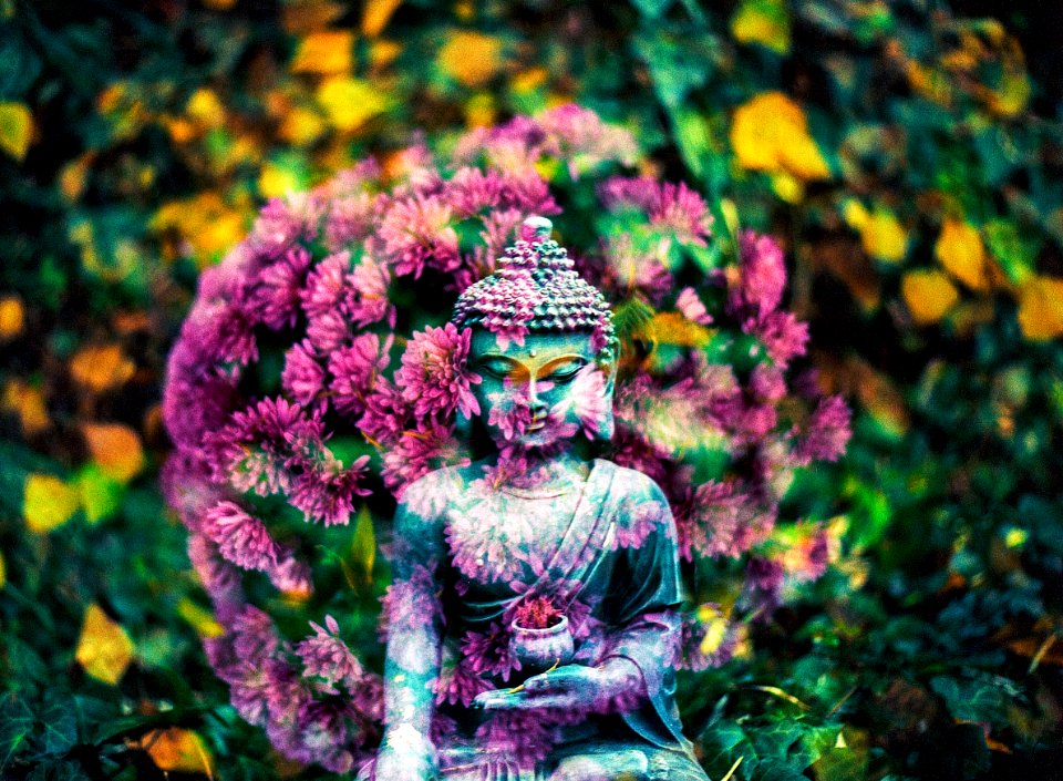 Feel the wonderful nothingness, the nature of the true mind, and be happy.