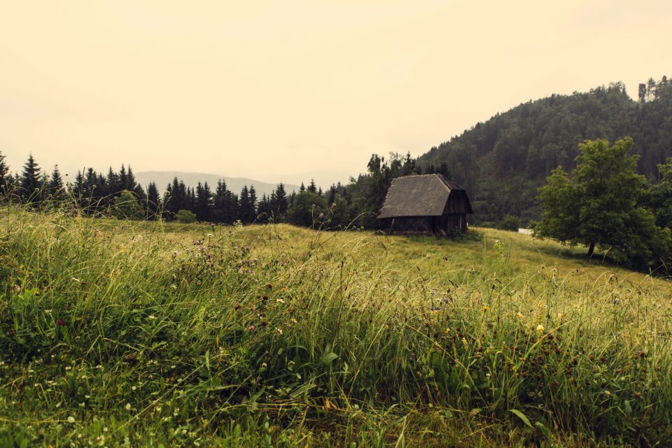 Grass pasture cabin