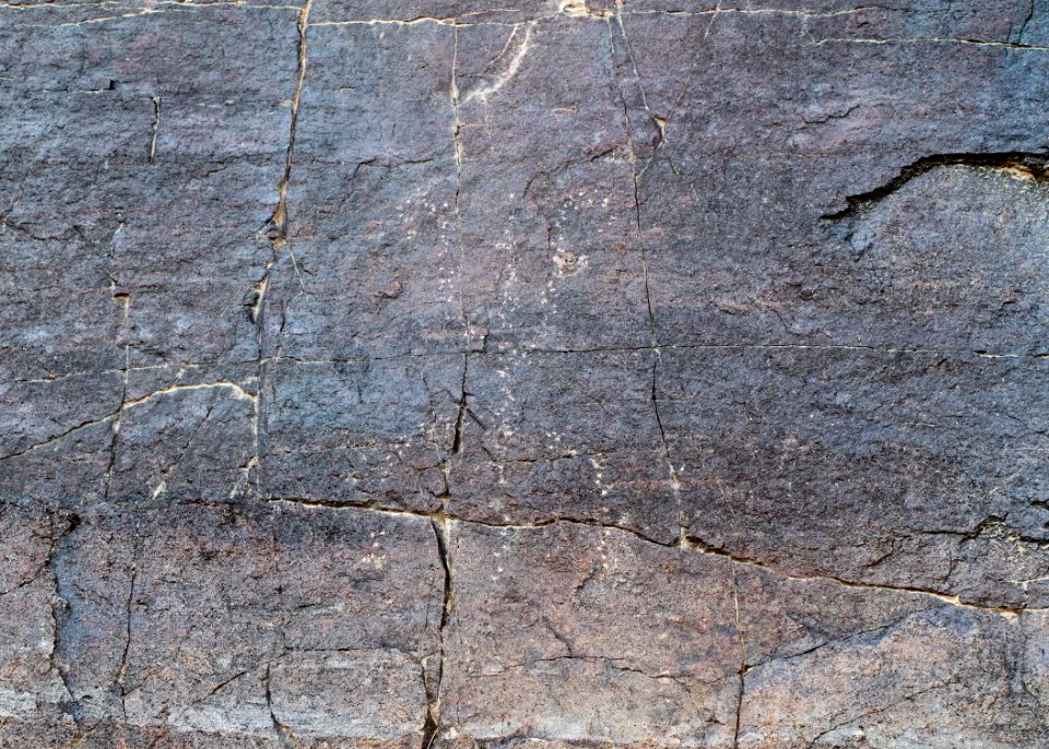 FRENCH JOE CANYON, Whetstone Mts, Az (9-1-10) -05 Petroglyph