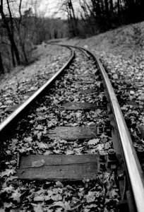 Tracks of the Children's Railway photo