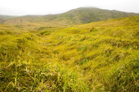 Trench in the tundra, Kiska